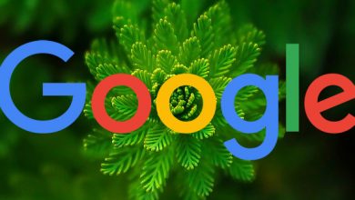 Google Image Search Tests Latest Section For New Images