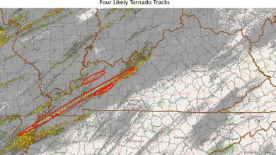 Four likely tornado tracks (each circled in red) ripped through Western Kentucky, causing an estimated 70 to 100 deaths.