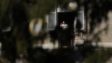Pope Francis, framed by the Vatican Christmas tree, salutes pilgrims and faithful during the Angelus noon prayer from the window of his studio overlooking St.Peter's Square, at the Vatican, Sunday.