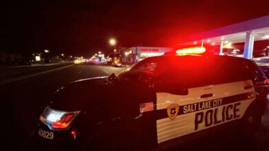 A person died Tuesday night after being involved in an auto-pedestrian accident on 1460 S. State Street.