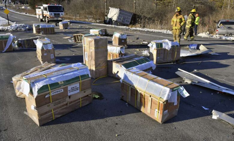 Crates holding live monkeys are scattered across the westbound lanes of state Route 54 at the junction with Interstate 80 near Danville, Pa., Friday, Jan. 21, 2022, after a pickup pulling a trailer carrying the monkeys was hit by a dump truck. They were transporting 100 monkeys and several were on the loose at the time of the photo.