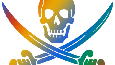 Google Pirate Update Fights Piracy