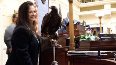 HawkWatch International's Debbie Petersen brings a live golden eagle named Chrys to the Senate floor at the Capitol in Salt Lake City on Feb. 10. Chrys is named after Aquila Chrysaetos. the scientific name for golden eagles. Gov. Spencer Cox signed a bill Wednesday that made the golden eagle Utah's official bird of prey.