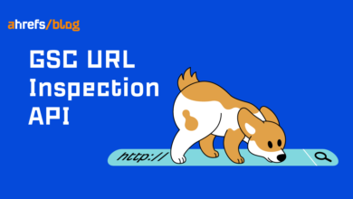 Google’s New Search Console URL Inspection API: What It Is & How to Use It