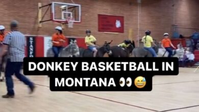 Participants compete in a donkey basketball fundraiser at a high school in Montana.